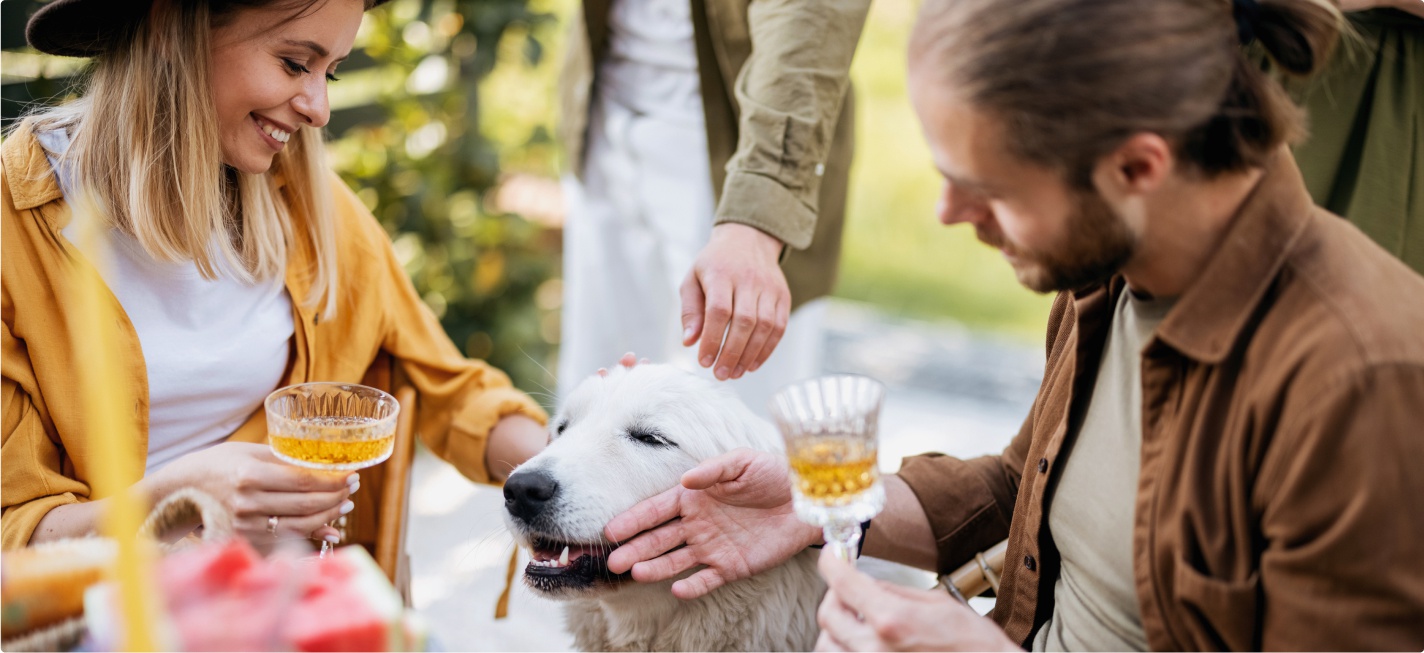 A couple enjoying a drink and stroking a dog
