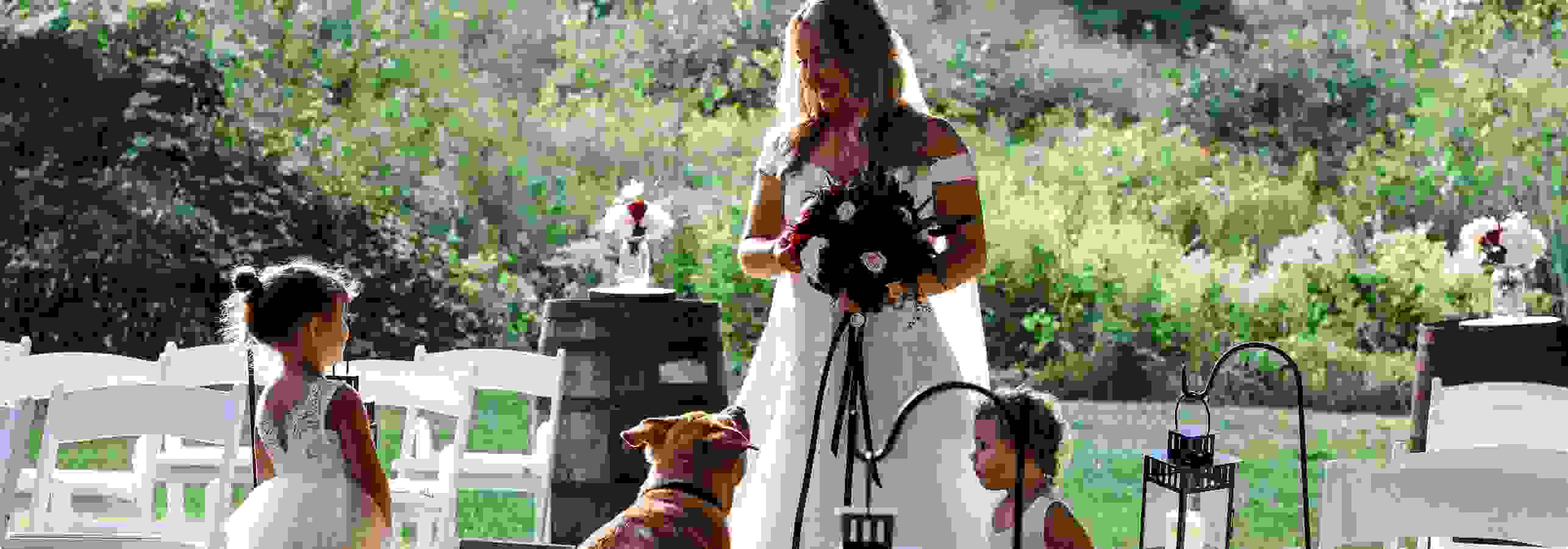 A bride at a wedding ceremony with a dog