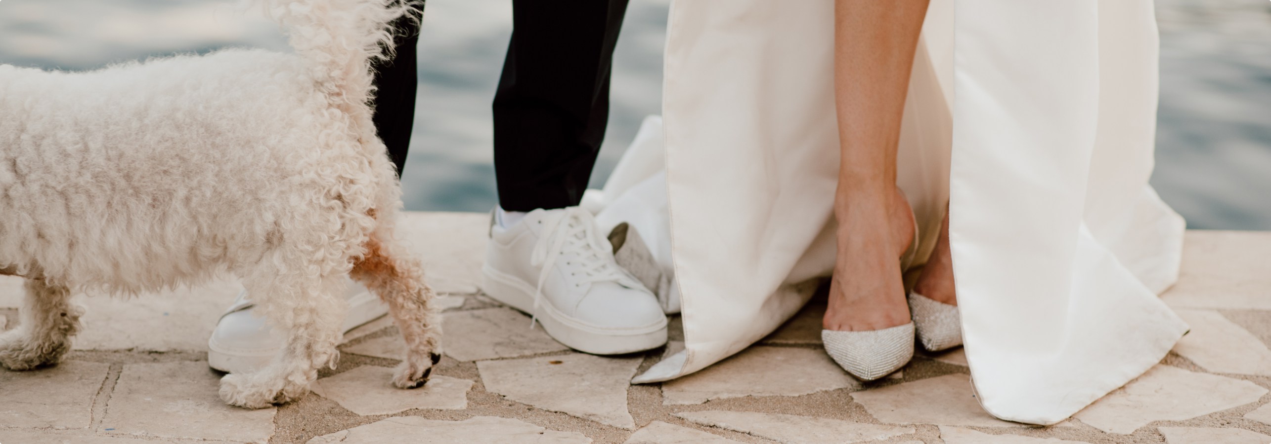 Married couple posing with a dog