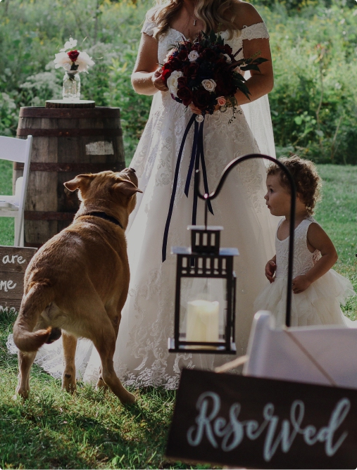 Dog at a wedding ceremony