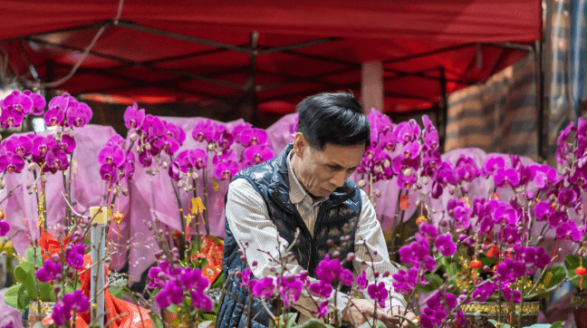 Flower Garden