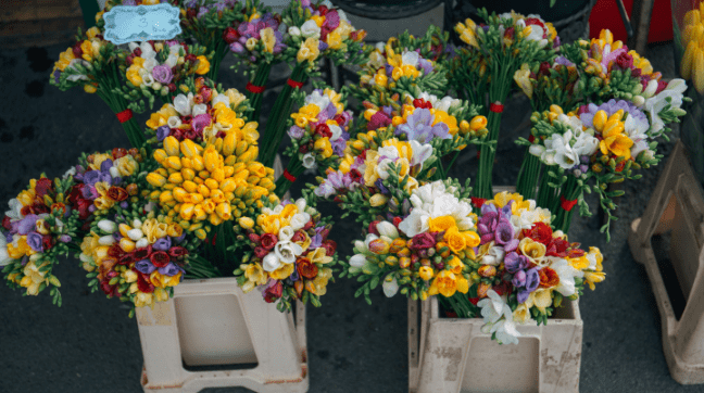 Flower Pots