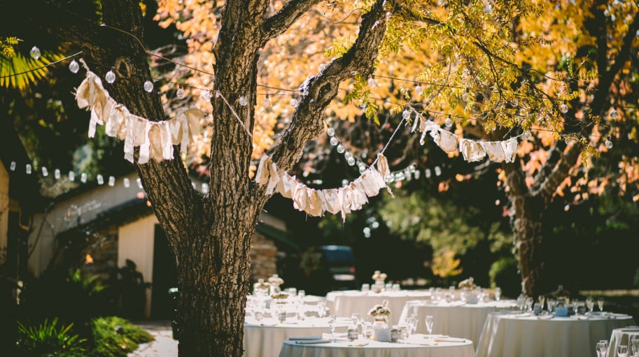 Wedding Venue
