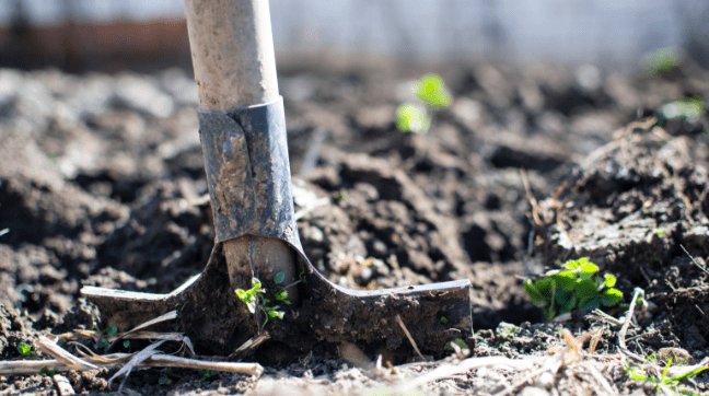 Soil