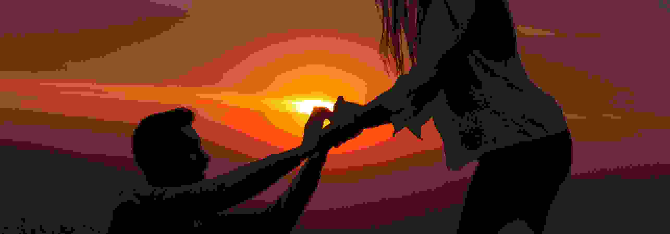 Sunset proposal silhouette