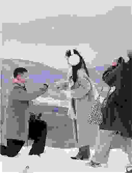 Proposal on a snowy mountain