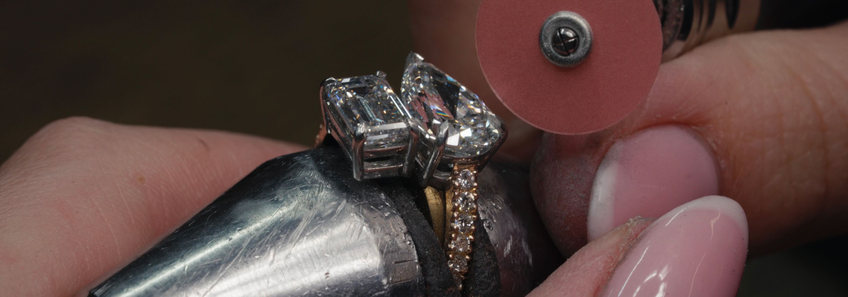 Married couple posing with a dog
