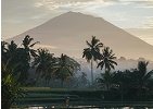 View of a volcanic mountain in Bali framed by palm trees and misty rice fields at sunrise