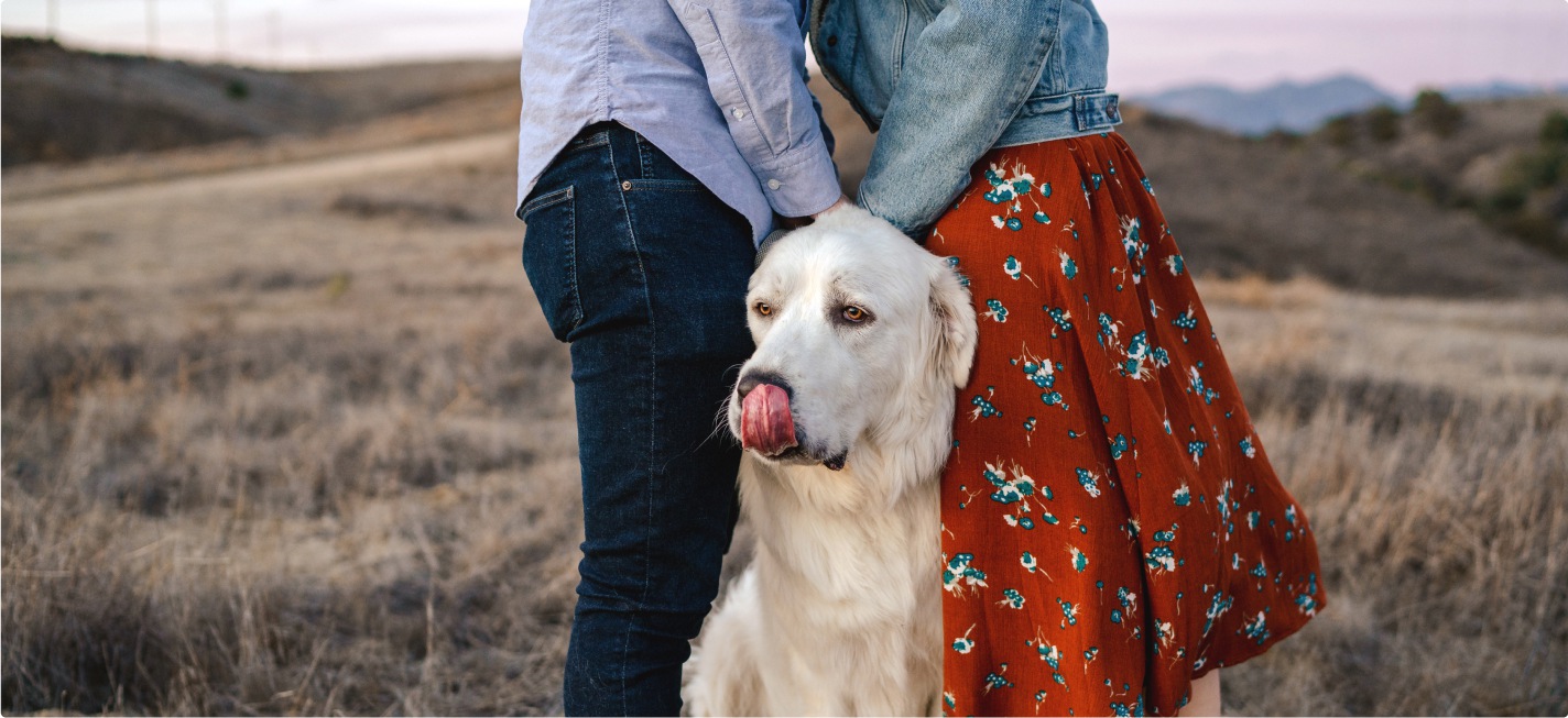 A dog in a field in front of a couple