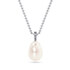 Pear WG