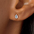 Halo__Studs