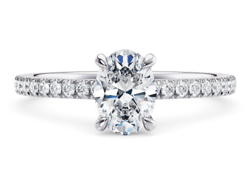 Aria in Oro Blanco set with a Oval cut diamante.