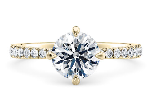 Asteria Compass in Žluté zlato (9k) set with a Kulaté cut diamant.