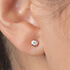 tea earring studs