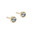 tea earring studs