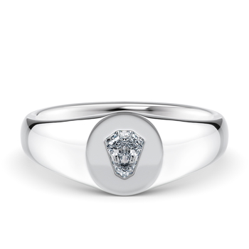 Evander in White Gold.
