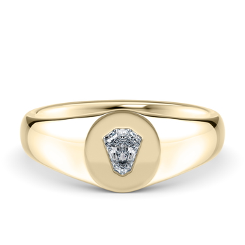 Evander in Gult gull (9k)