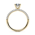 Muse Engagement Ring