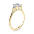 Paris Engagement Ring 
