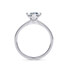 1477_BEZEL_MQ_WG