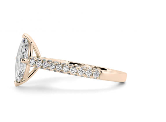 Marquise