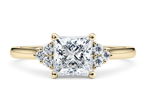 Rosa in Yellow Gold set with a Princess cut diamond.