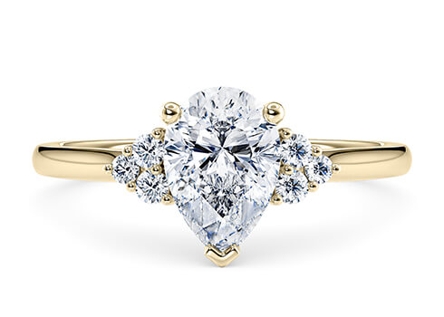 Rosa in Yellow Gold set with a Pear cut diamond.