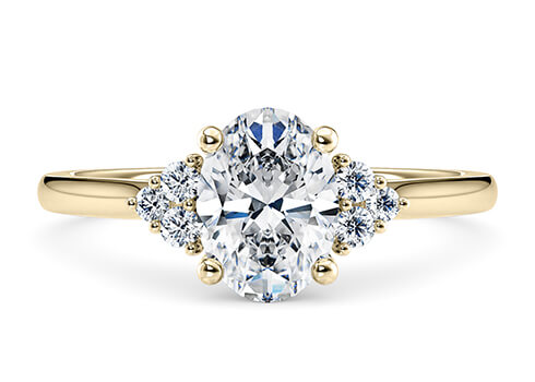 Rosa in Geelgoud set with a Ovaal cut diamant.