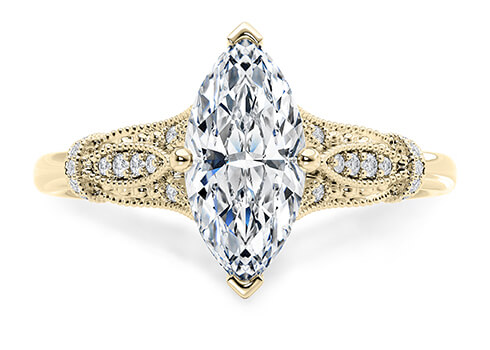 Jasmine in Yellow Gold set with a Marquise cut diamond.