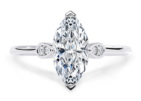 Primrose in Oro Bianco set with a Marquise cut diamante.