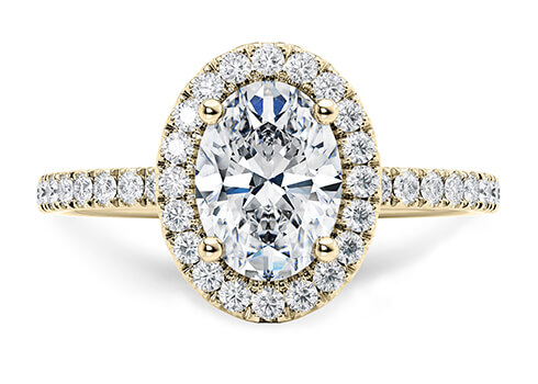 Isabella in Yellow Gold set with a Oval cut diamond.