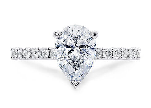 Duchess in White Gold set with a Pear cut diamond.