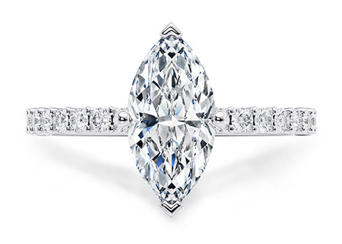 Duchess in White Gold set with a Marquise cut diamond.