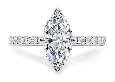 Duchess in Platina set with a Navett cut diamant.