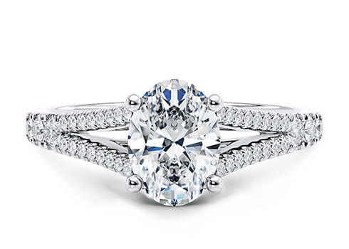 Oxford in Platinum set with a Oval cut diamond.