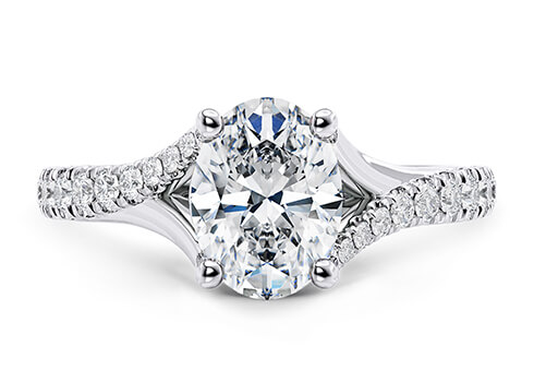 Valentine in White Gold set with a Oval cut diamond.