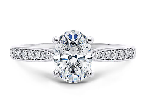 Victoria in White Gold set with a Oval cut diamond.