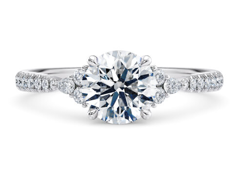 Gaia Engagement Ring in Vitt guld set with a Rund cut diamant.