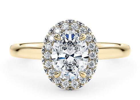 Cassia in Yellow Gold set with a Oval cut diamond.