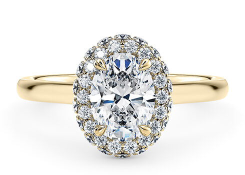 Cassia in Oro Amarillo set with a Oval cut diamante.