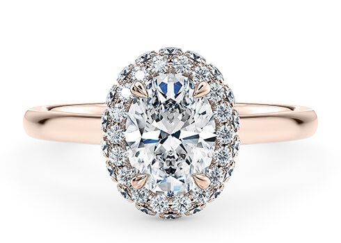 Cassia Engagement Ring in Rosaguld set with a Oval cut diamant.