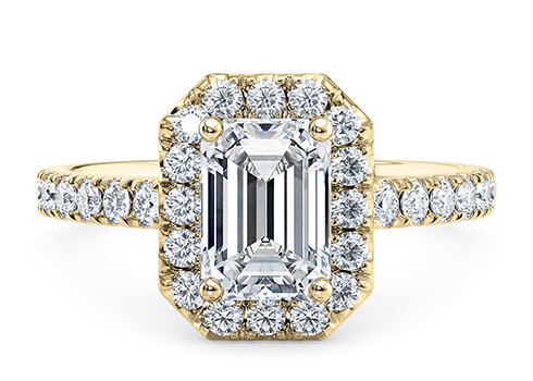 Medici in Yellow Gold set with a Emerald cut diamond.