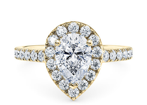 Medici in Yellow Gold set with a Pear cut diamond.